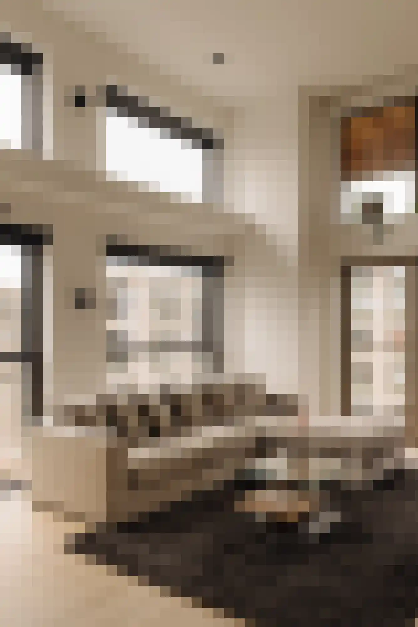 Krijn Taconiskade 521 Amsterdam thumbnail 9