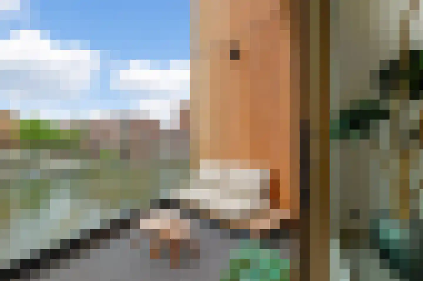 Krijn Taconiskade 79 Amsterdam thumbnail 13