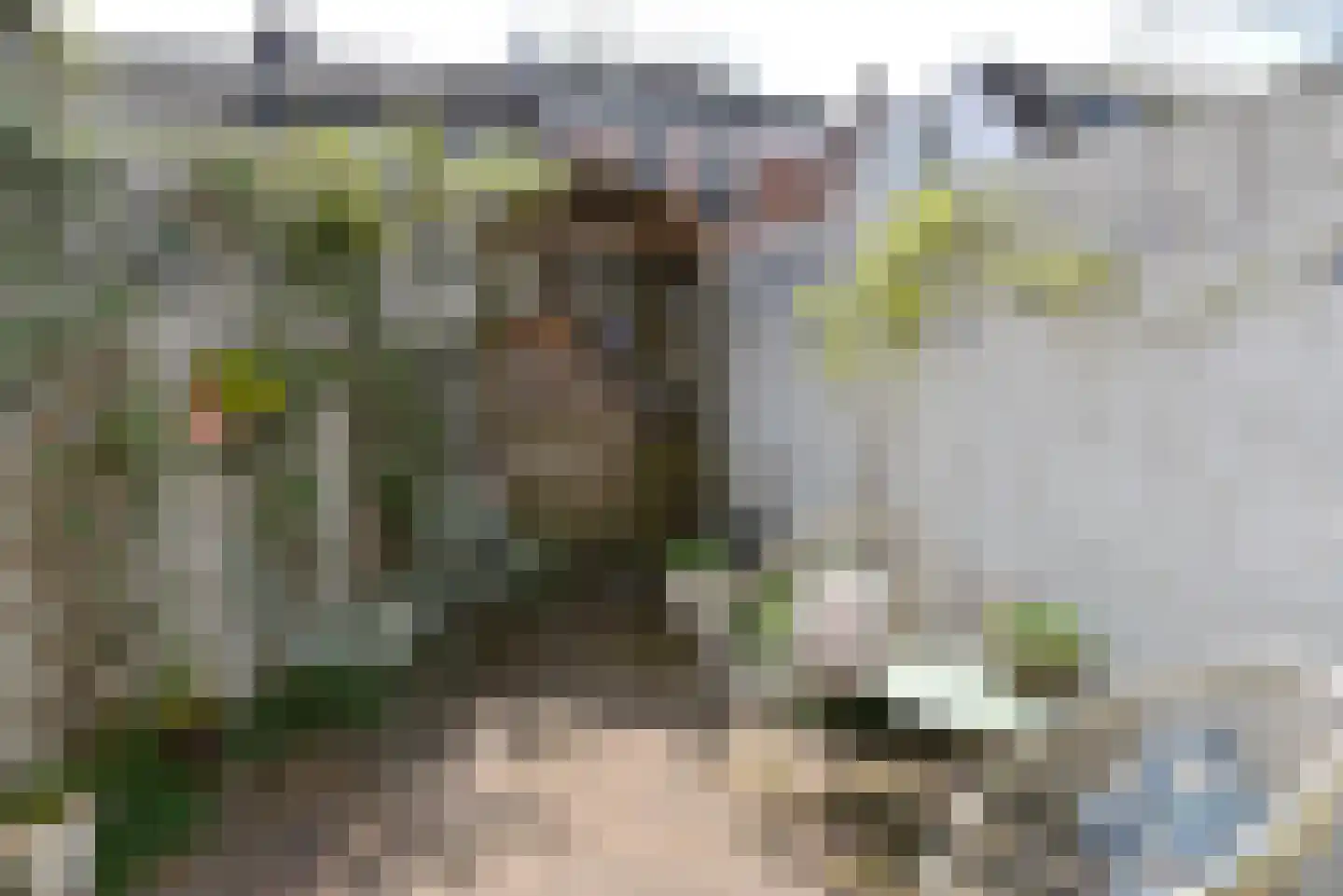 Krijnenweg 3 Bussum thumbnail 23