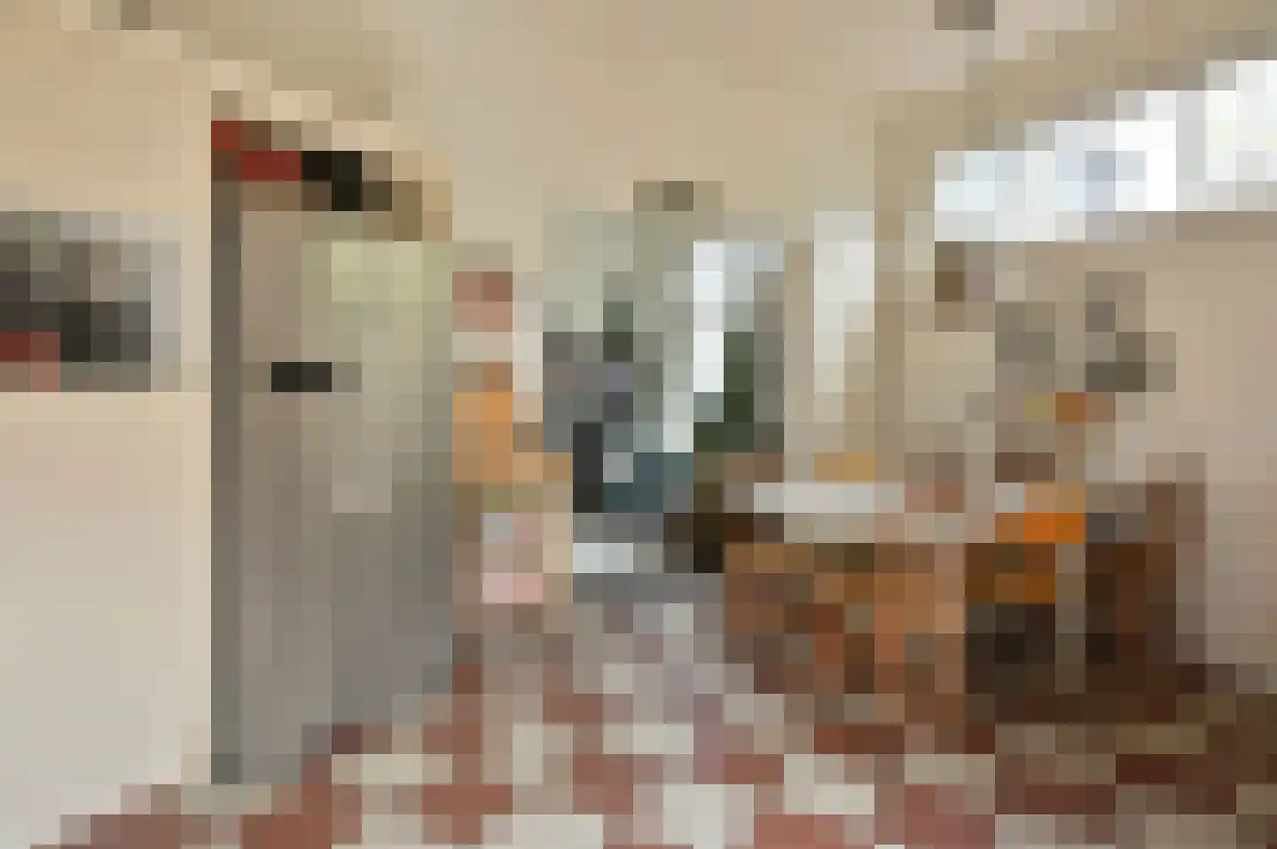 Krijnenweg 3 Bussum thumbnail 5