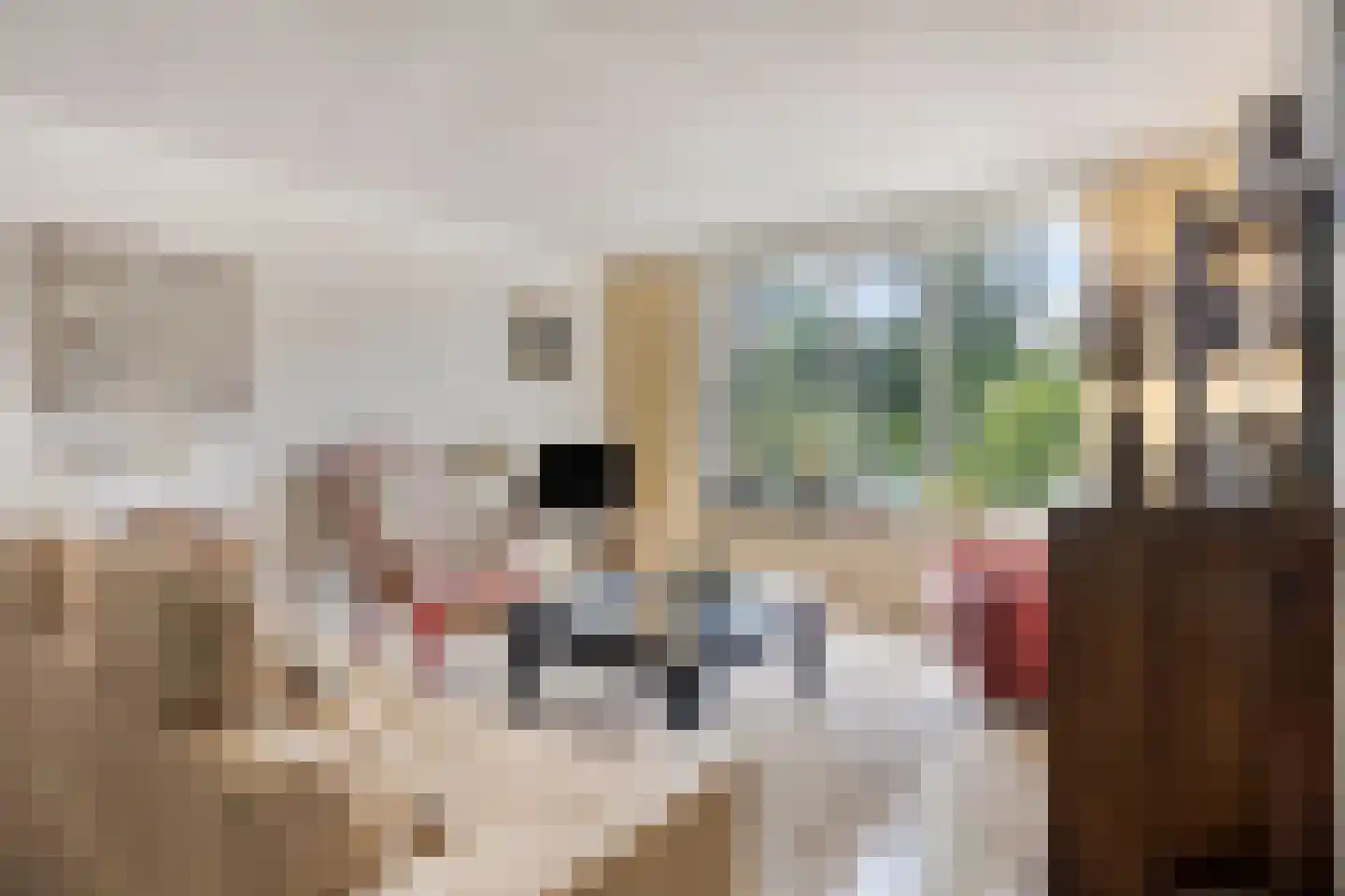 Krijten 24 Uden thumbnail 10