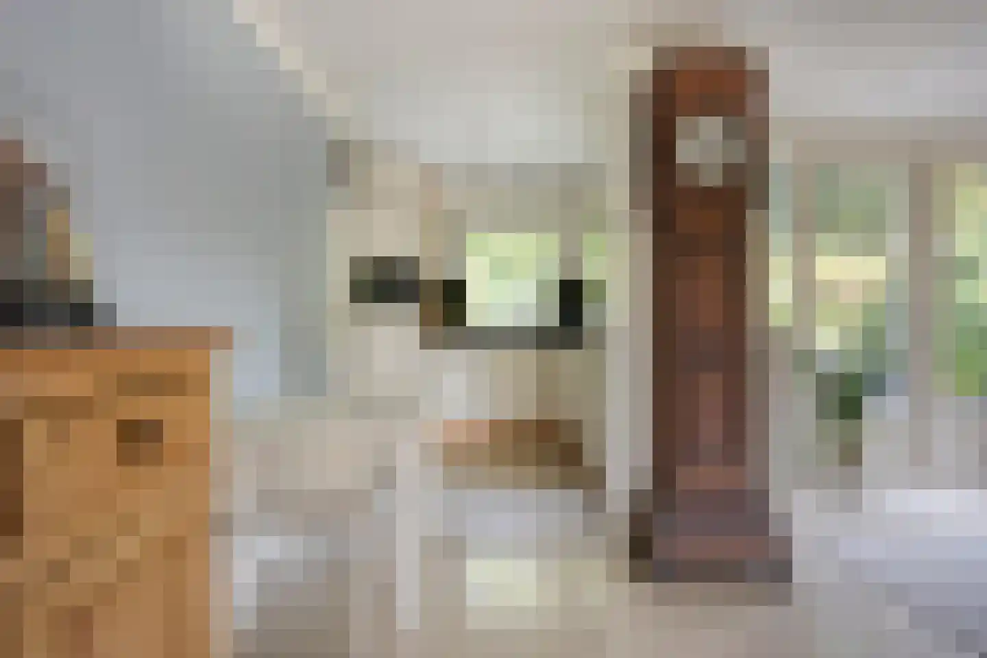 Krijten 24 Uden thumbnail 17