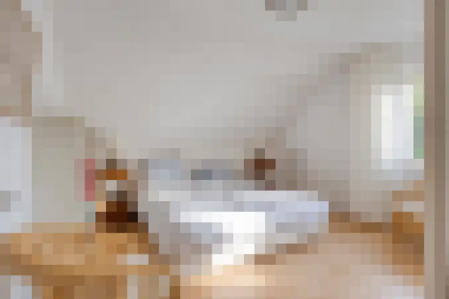 Krijten 24 Uden thumbnail 24