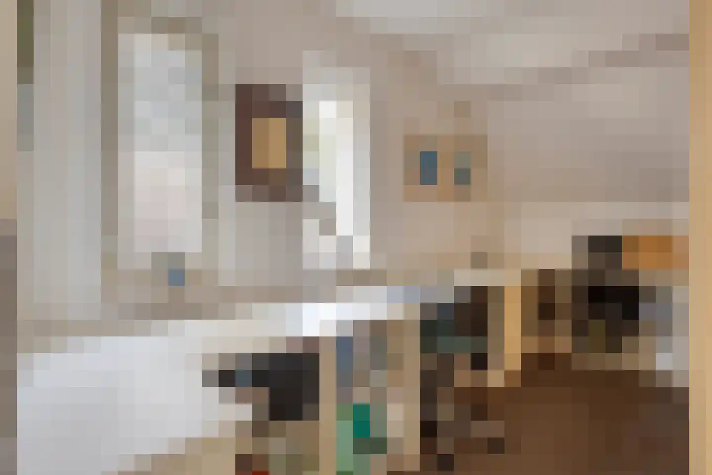 Krijten 24 Uden thumbnail 30