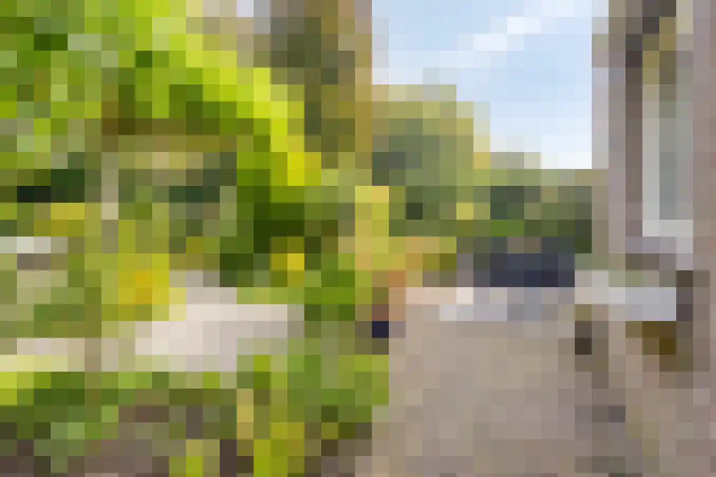 Krijten 24 Uden thumbnail 32