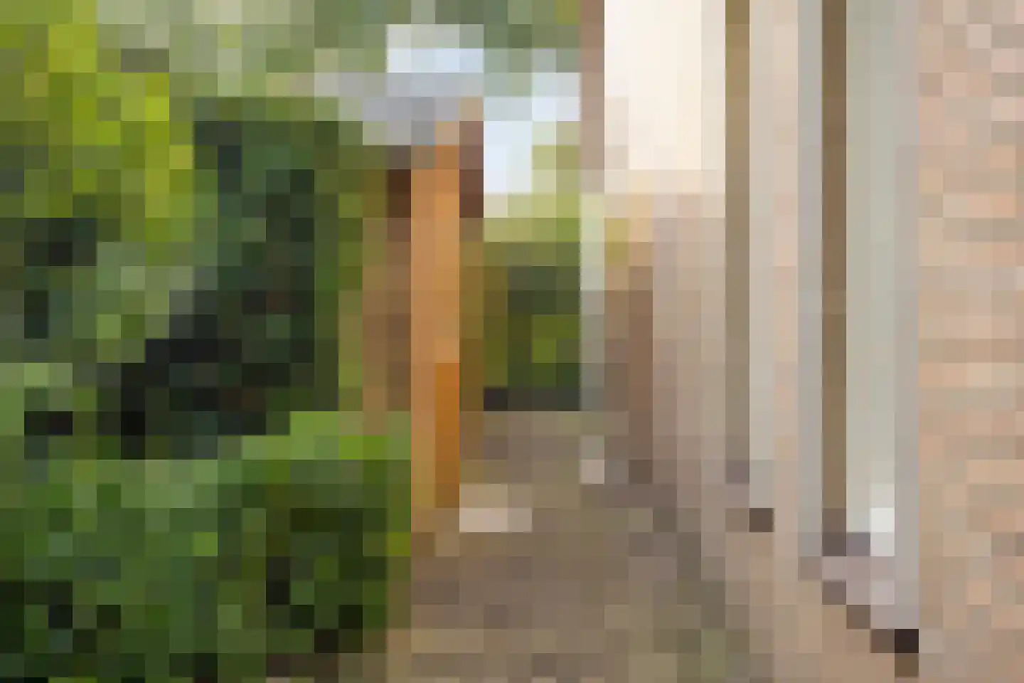 Krijten 24 Uden thumbnail 33