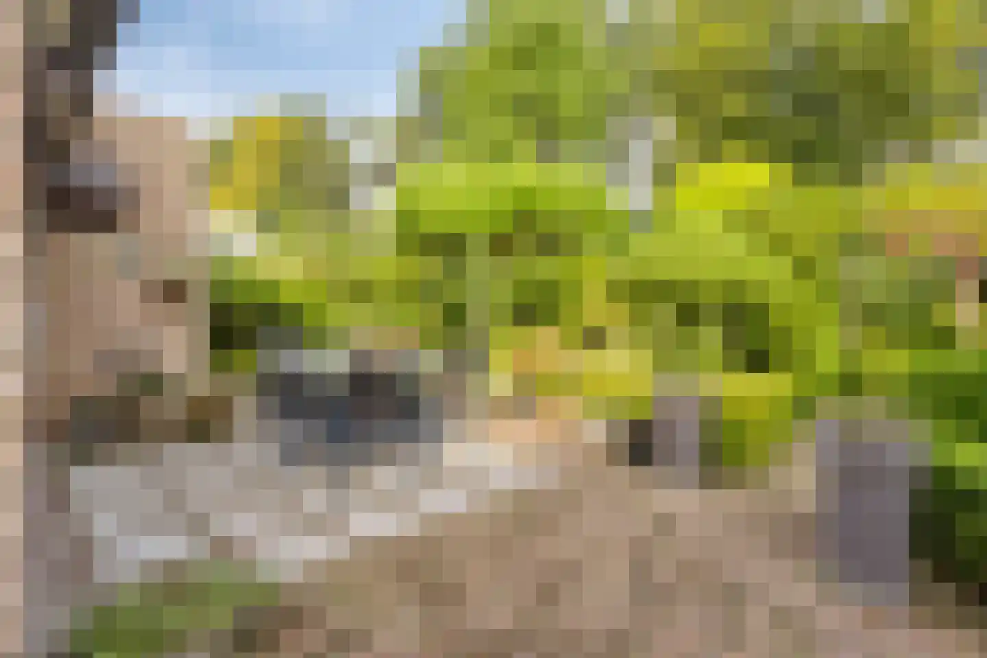 Krijten 24 Uden thumbnail 34