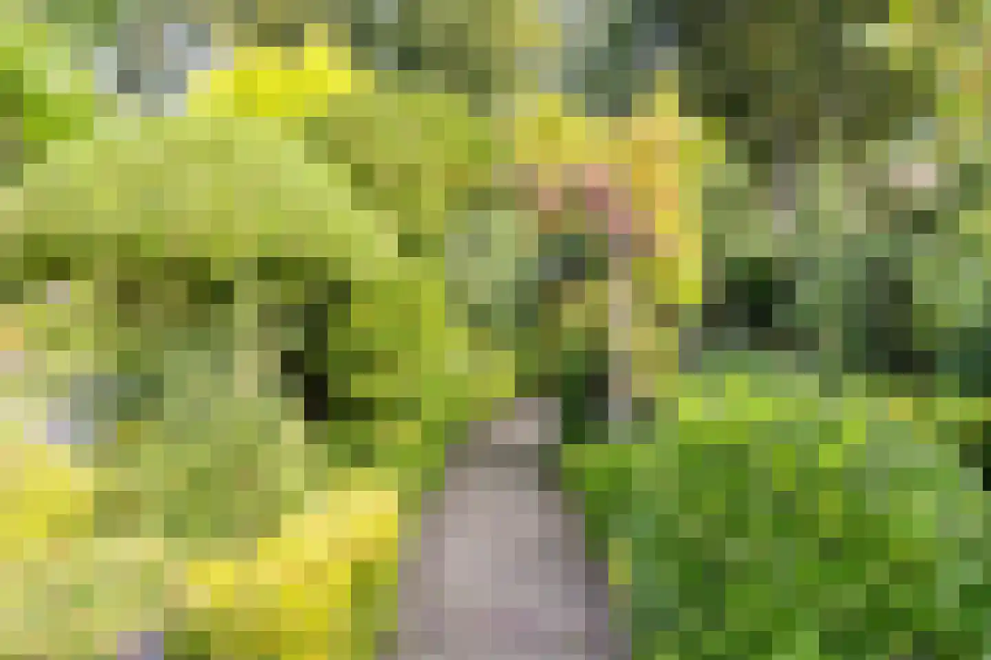 Krijten 24 Uden thumbnail 35