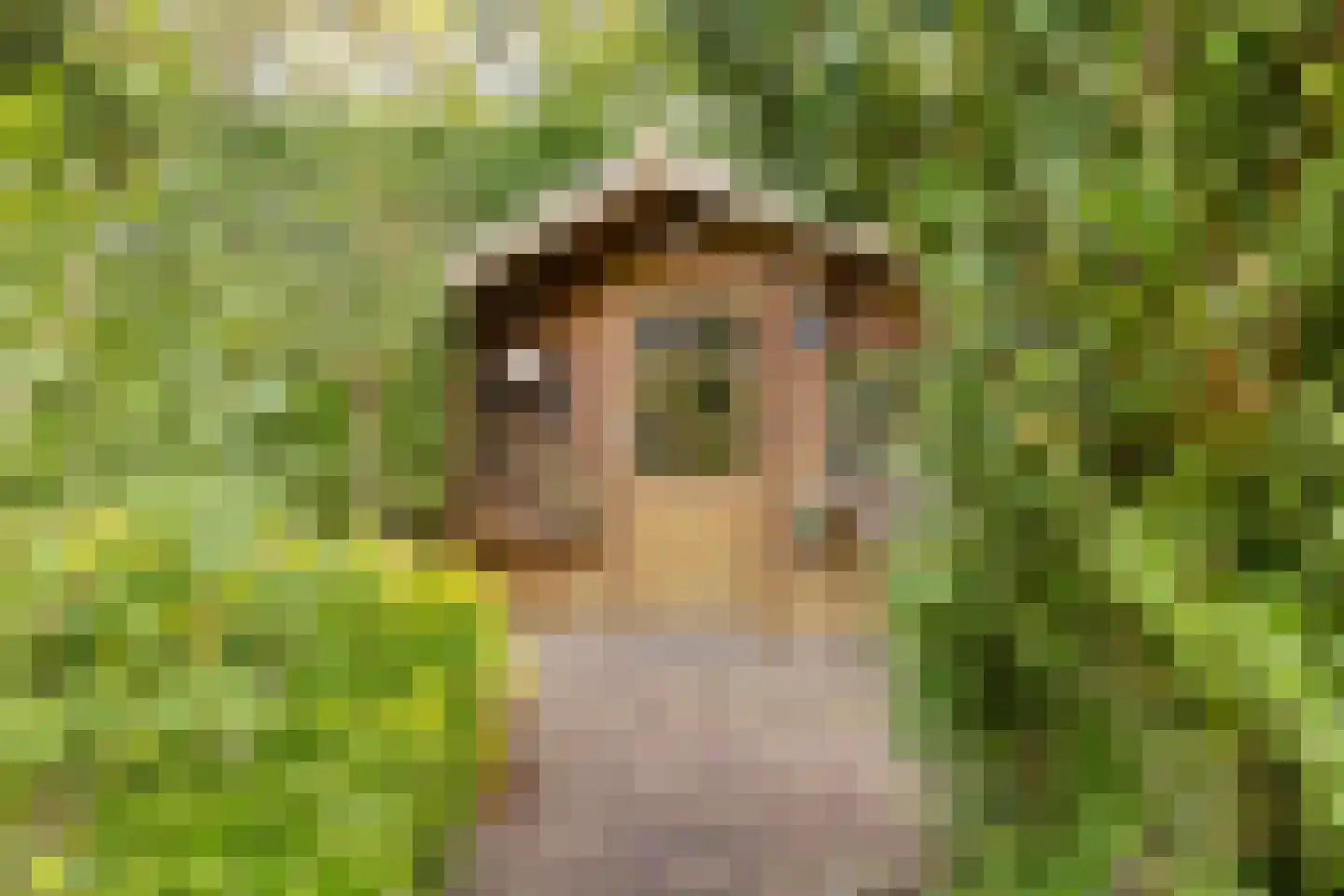 Krijten 24 Uden thumbnail 36