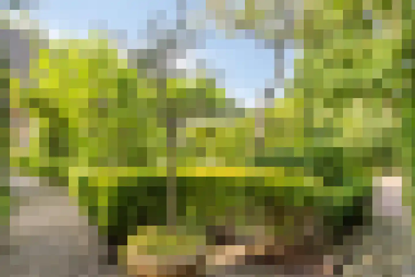 Krijten 24 Uden thumbnail 37