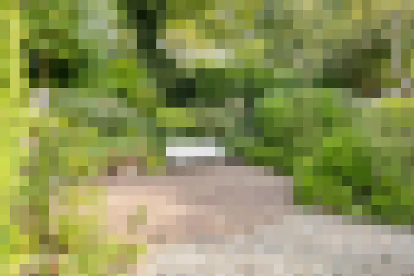 Krijten 24 Uden thumbnail 38