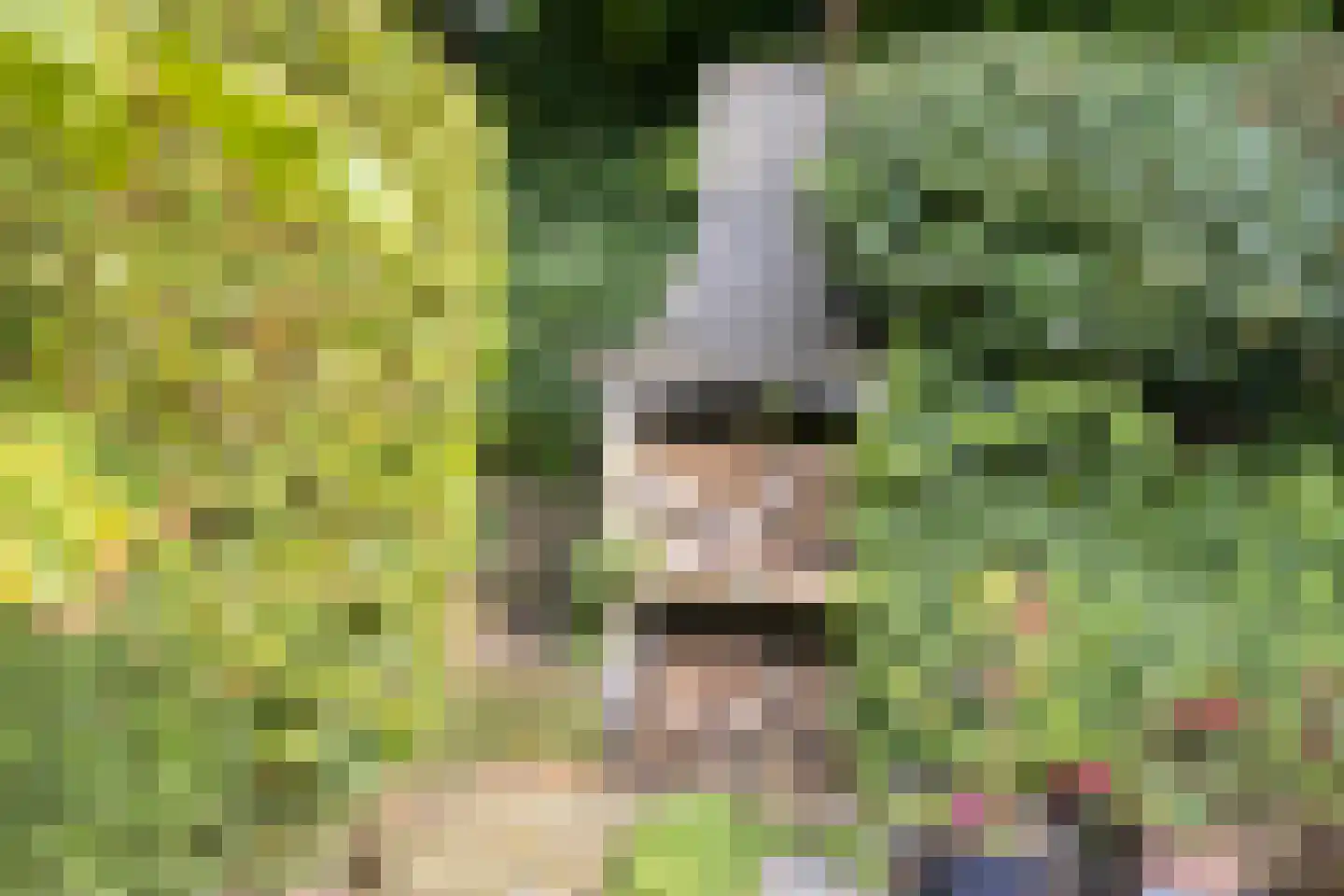 Krijten 24 Uden thumbnail 39