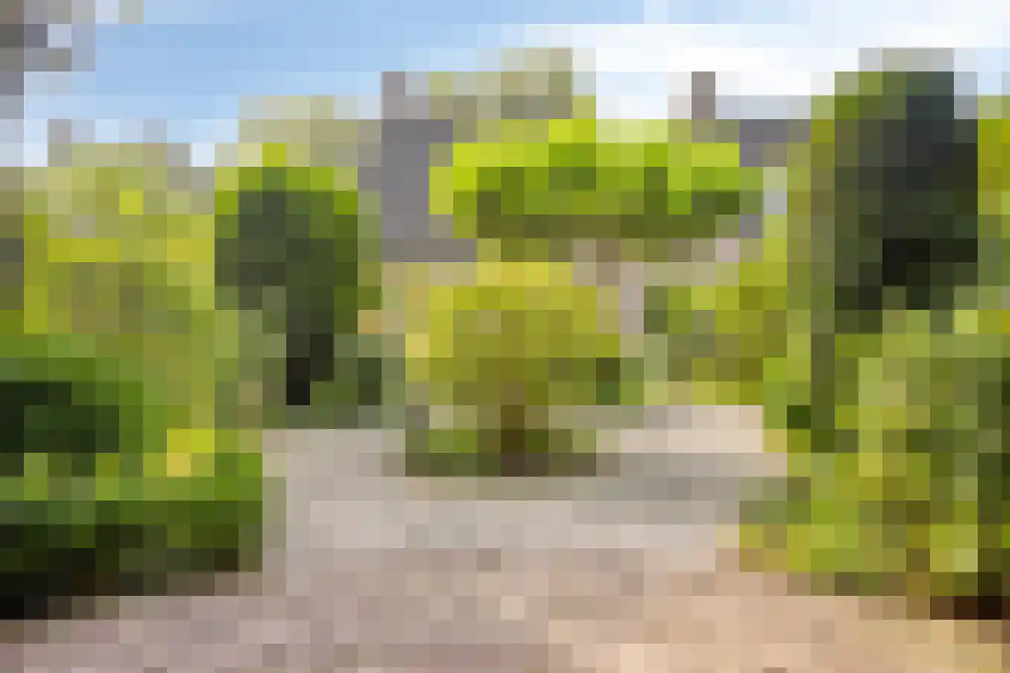 Krijten 24 Uden thumbnail 40