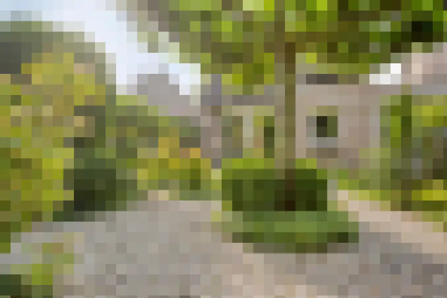 Krijten 24 Uden thumbnail 41