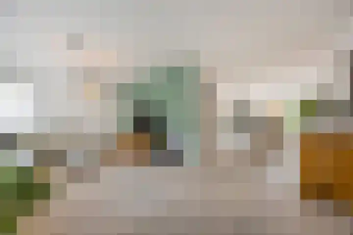 Krijten 87 Uden thumbnail 10