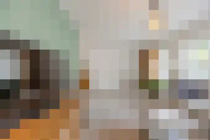 Krijten 87 Uden thumbnail 11
