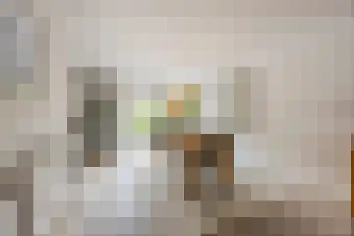Krijten 87 Uden thumbnail 12