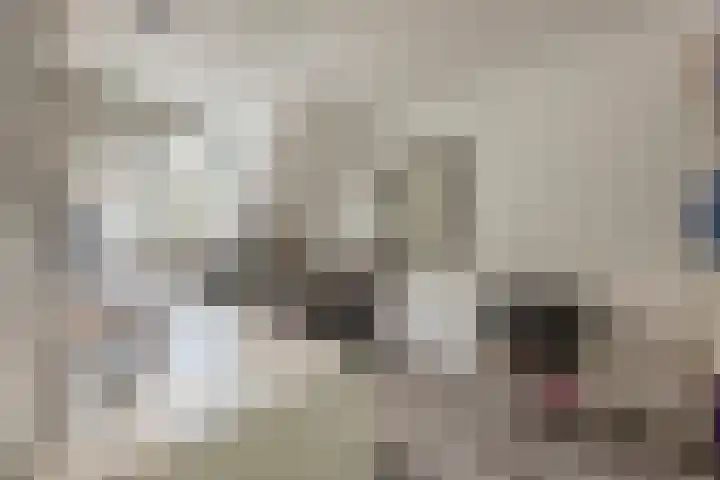 Krijten 87 Uden thumbnail 23