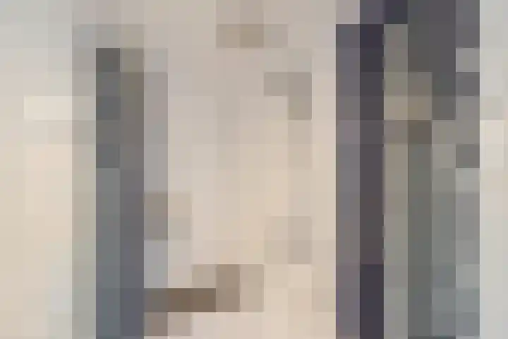 Krijten 87 Uden thumbnail 29