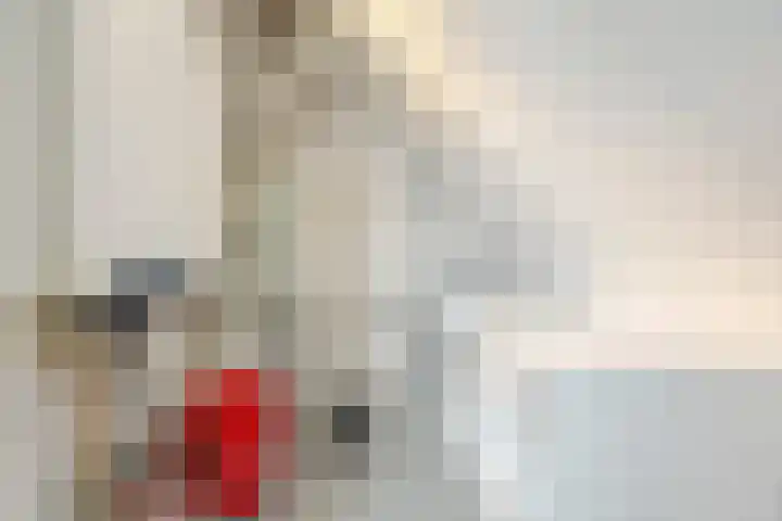 Krijten 87 Uden thumbnail 32