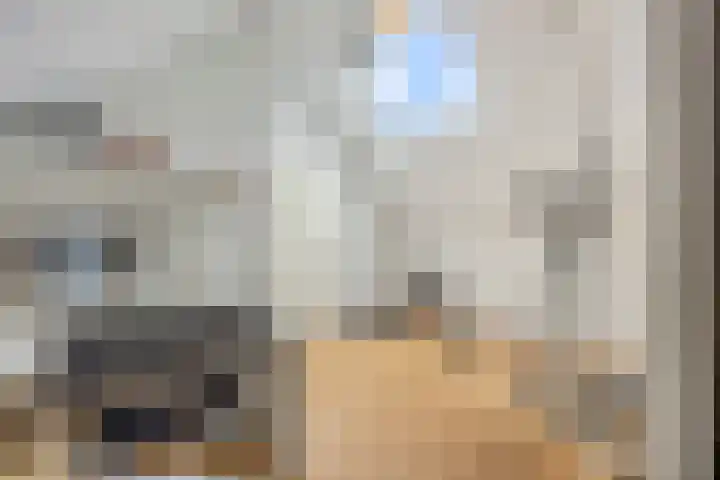 Krijten 87 Uden thumbnail 35