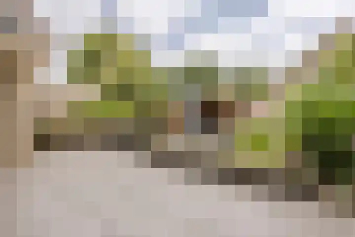 Krijten 87 Uden thumbnail 37