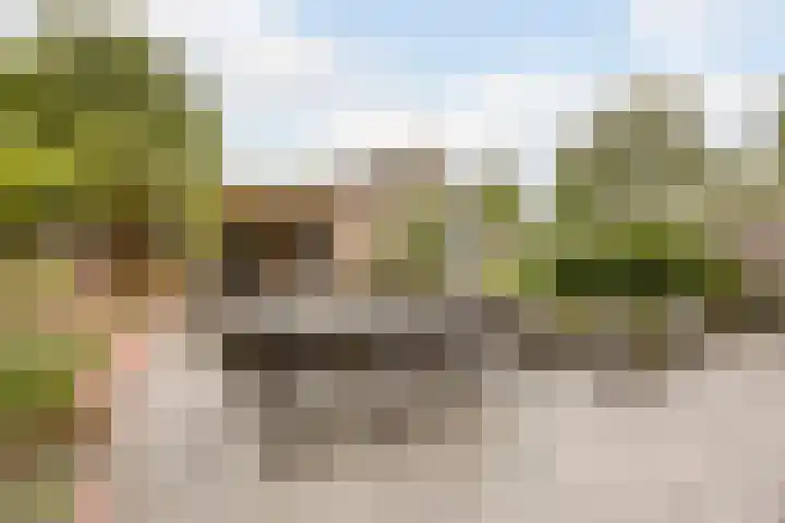 Krijten 87 Uden thumbnail 38