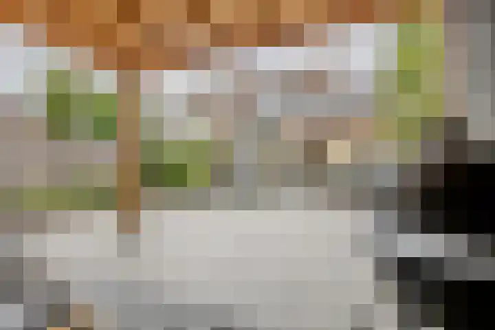 Krijten 87 Uden thumbnail 40