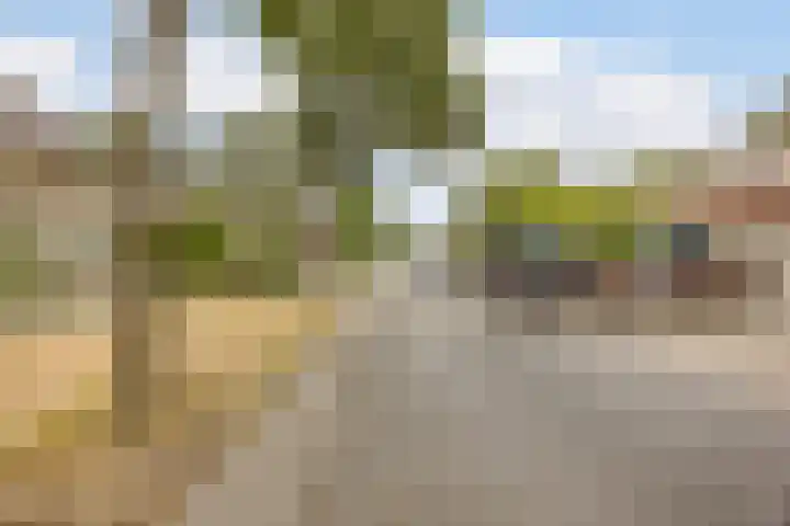 Krijten 87 Uden thumbnail 45