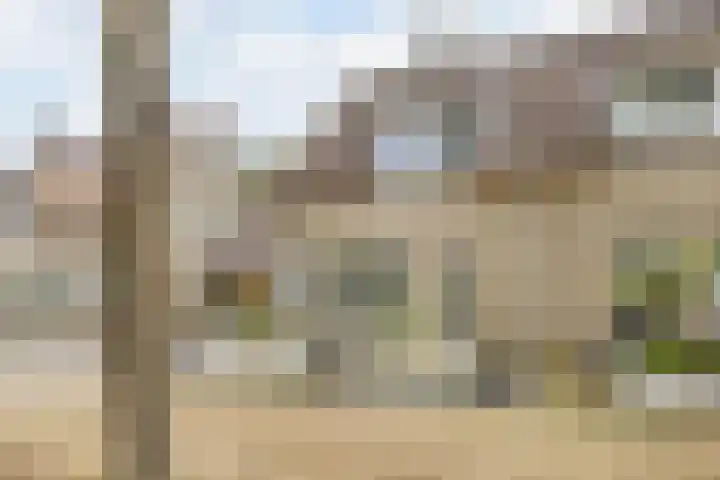 Krijten 87 Uden thumbnail 5