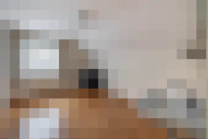 Krijtenburg 10 Veghel thumbnail 23