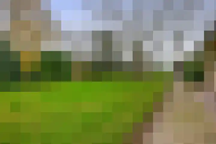 Krijtenburg 10 Veghel thumbnail 32