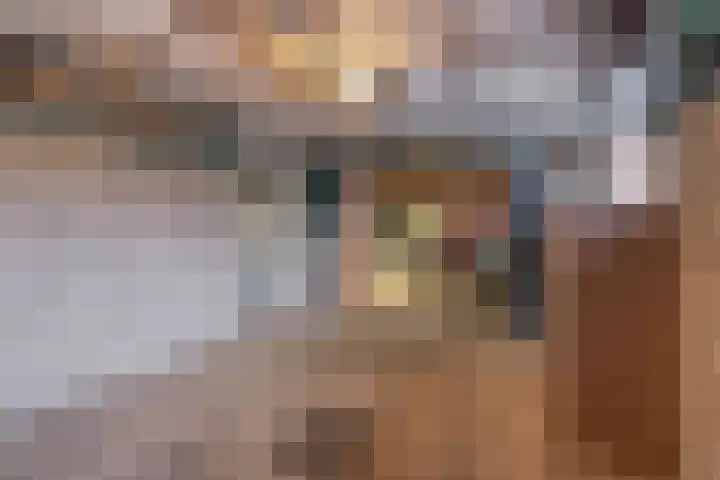 Krijtenburg 10 Veghel thumbnail 37
