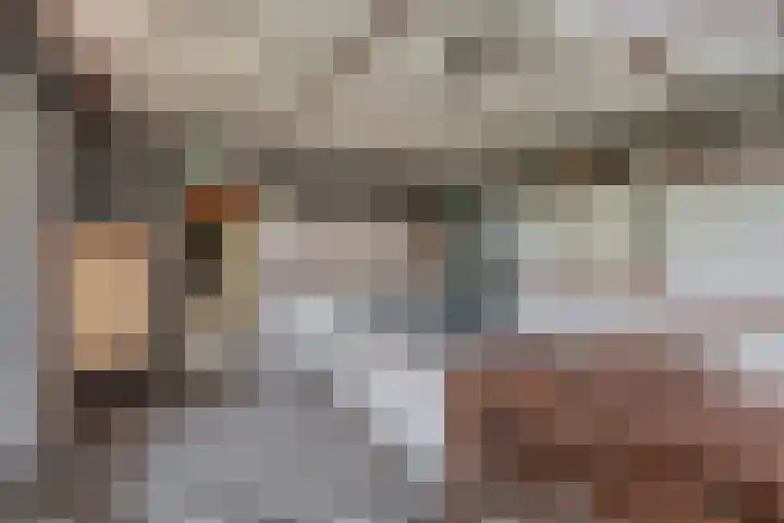Krijtenburg 10 Veghel thumbnail 38