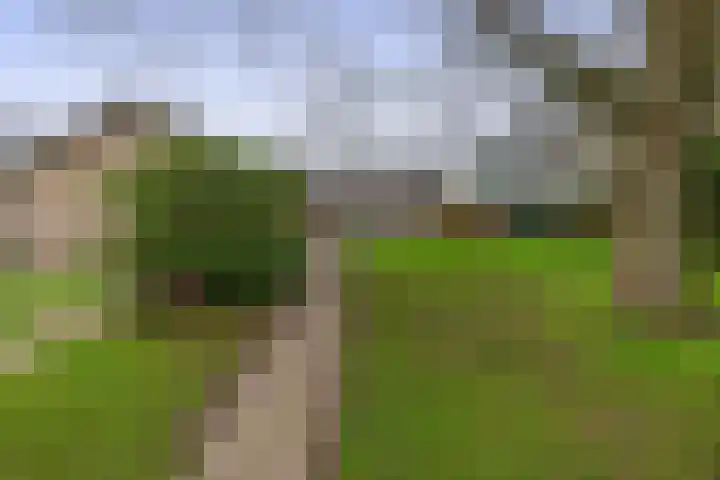 Krijtenburg 10 Veghel thumbnail 42