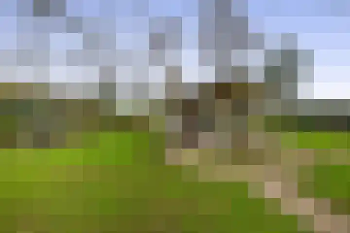Krijtenburg 10 Veghel thumbnail 44