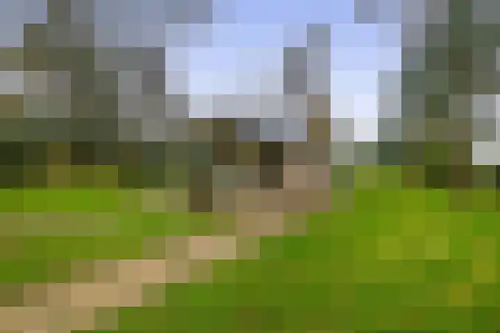 Krijtenburg 10 Veghel thumbnail 45