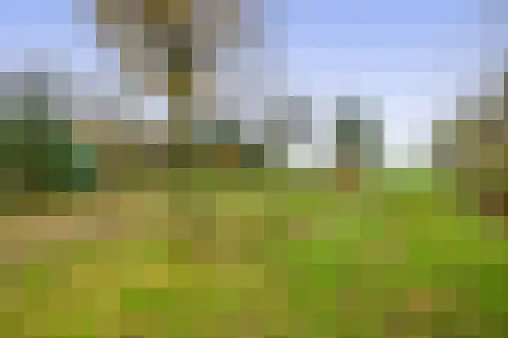 Krijtenburg 10 Veghel thumbnail 46