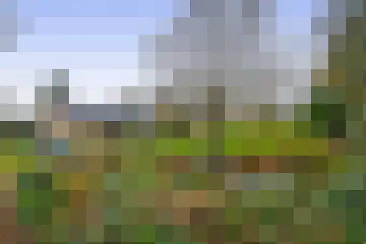 Krijtenburg 10 Veghel thumbnail 47