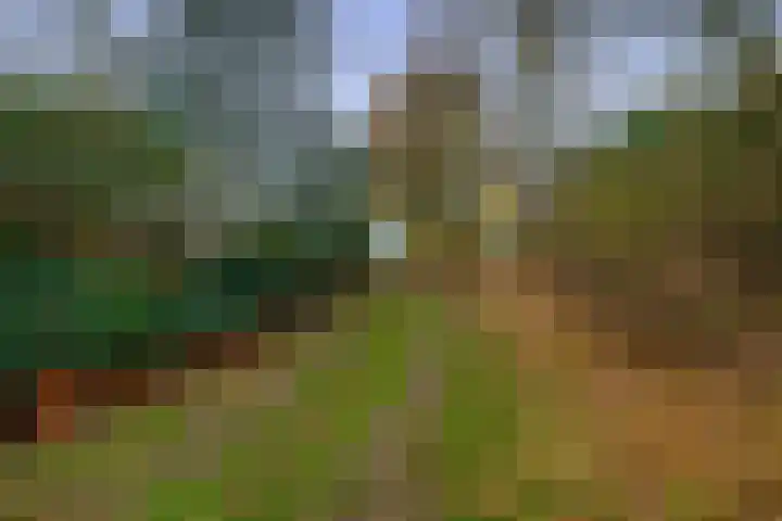 Krijtenburg 10 Veghel thumbnail 48