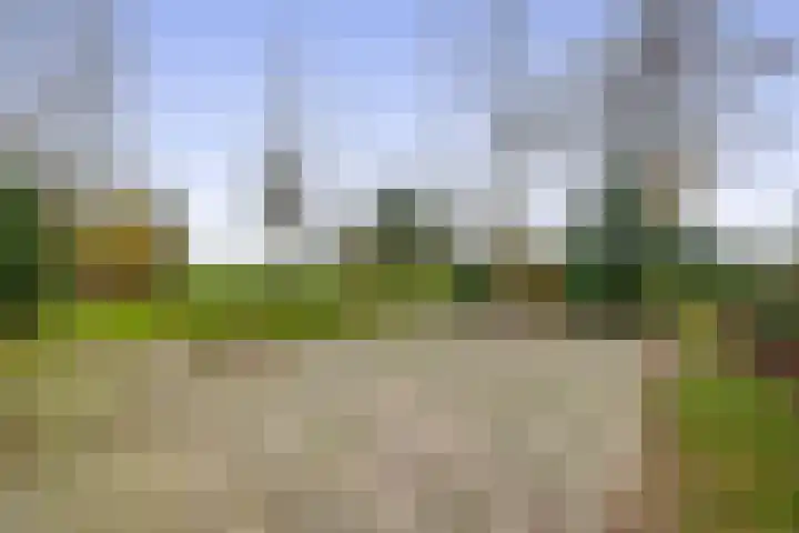 Krijtenburg 10 Veghel thumbnail 49