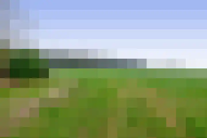 Krijtenburg 10 Veghel thumbnail 50