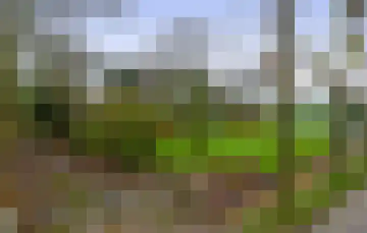 Krijtenburg 10 Veghel thumbnail 58