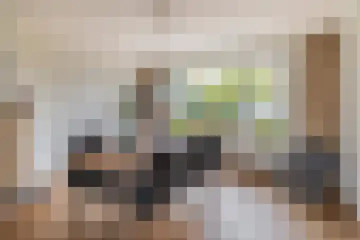 Krijtenburg 10 Veghel thumbnail 7