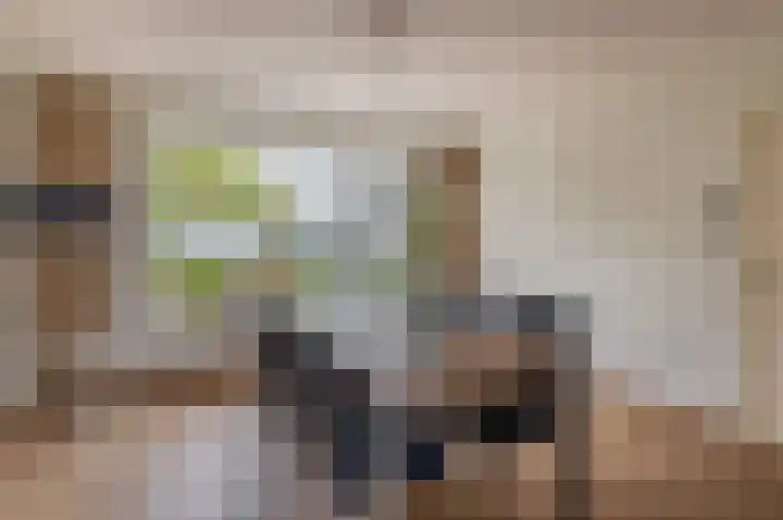 Krijtenburg 10 Veghel thumbnail 8