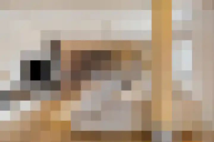Krijtenburg 18 A Veghel thumbnail 12