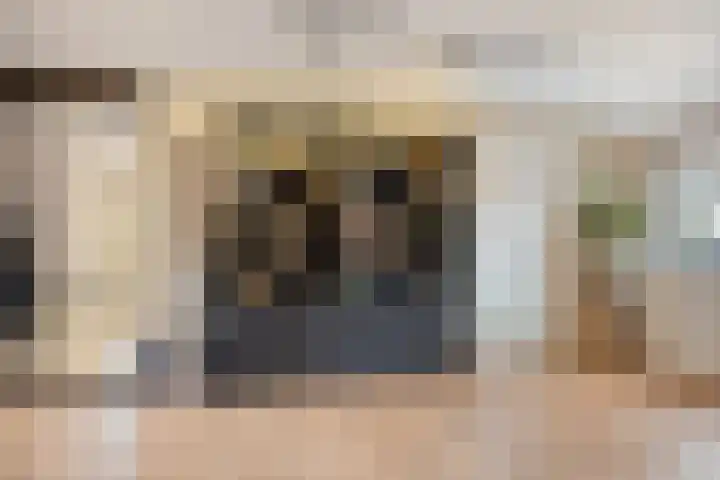 Krijtenburg 18 A Veghel thumbnail 21