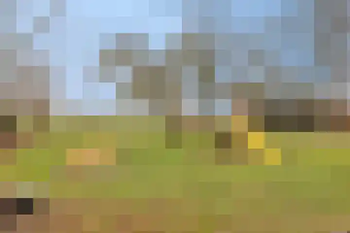 Krijtenburg 18 A Veghel thumbnail 51