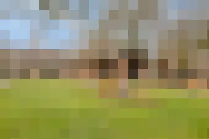 Krijtenburg 18 A Veghel thumbnail 52