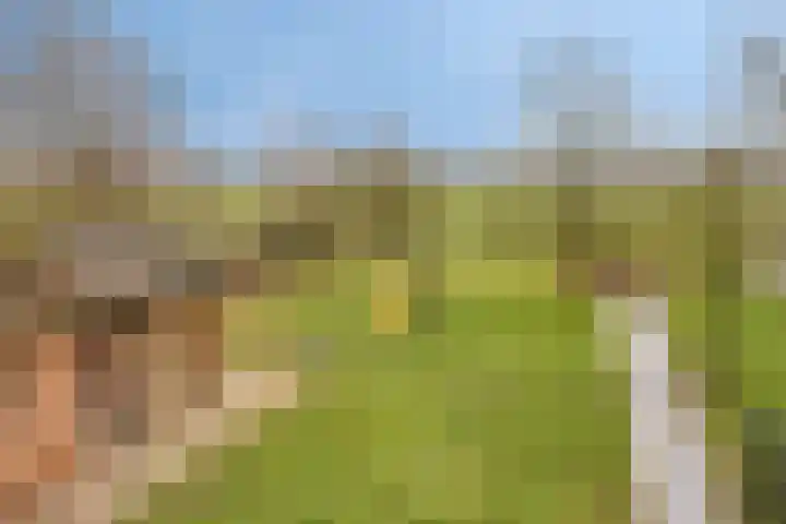 Krijtenburg 18 A Veghel thumbnail 55